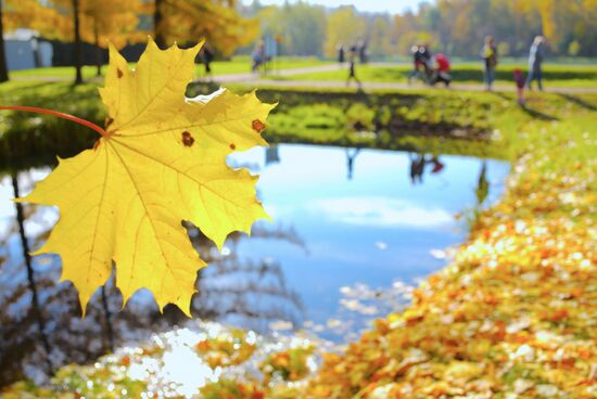 Повседневная жизнь