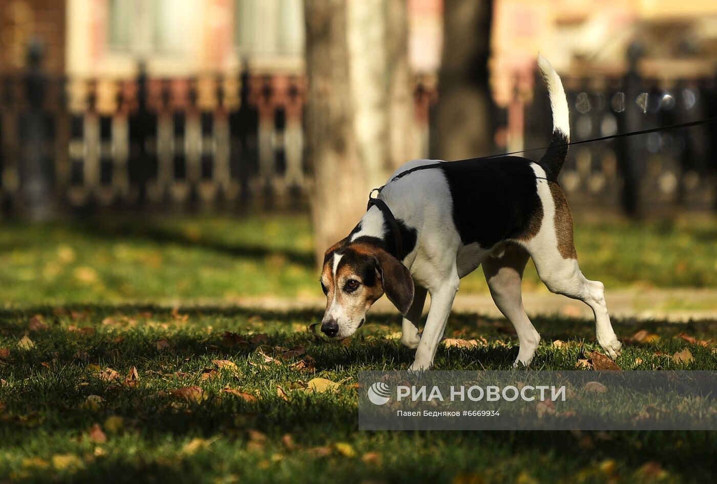 Повседневная жизнь