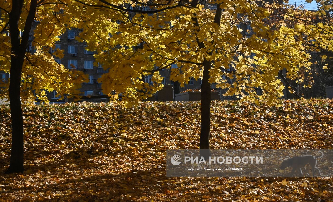 Повседневная жизнь