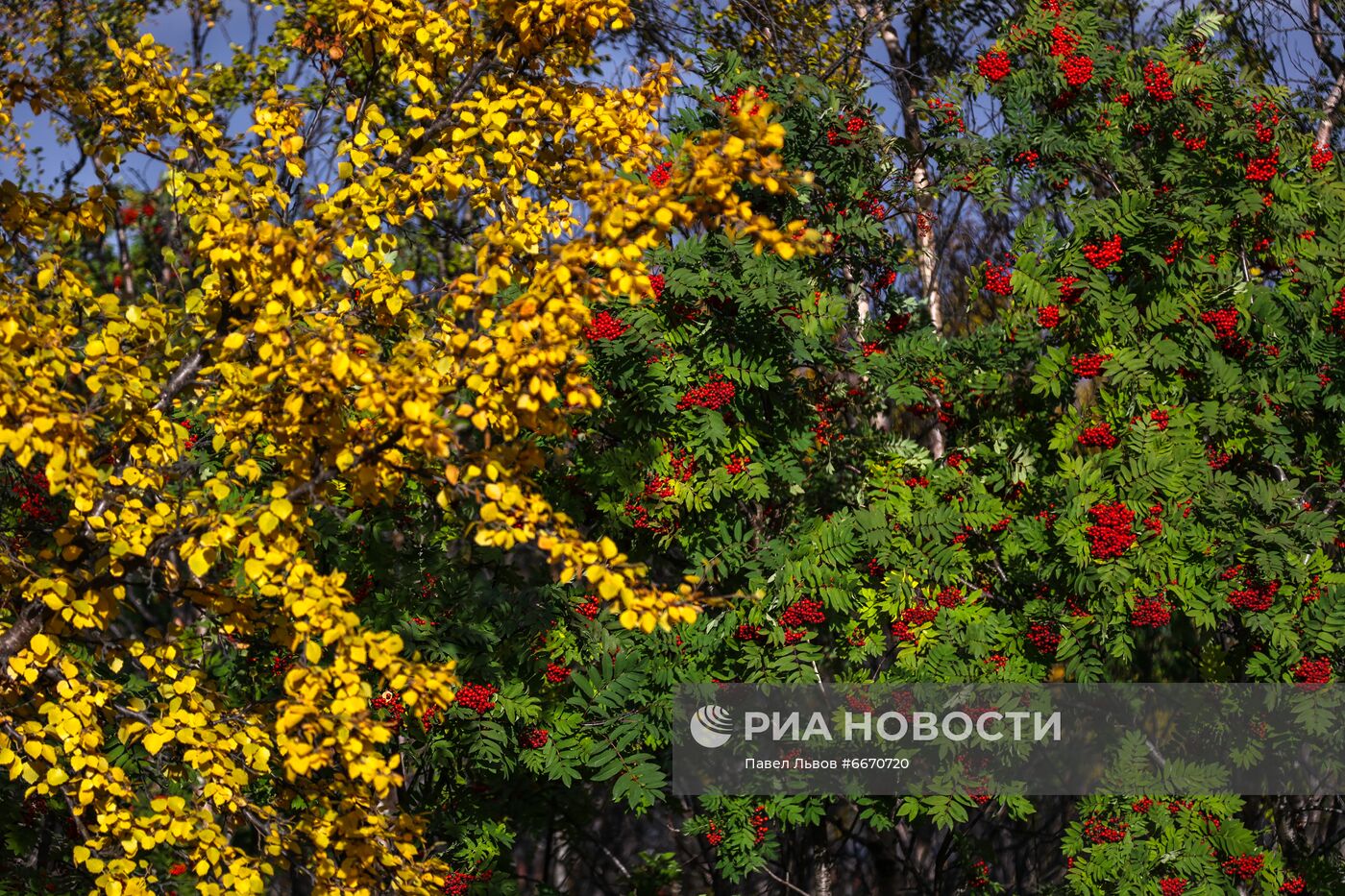 Полуострова Средний и Рыбачий в Мурманской области