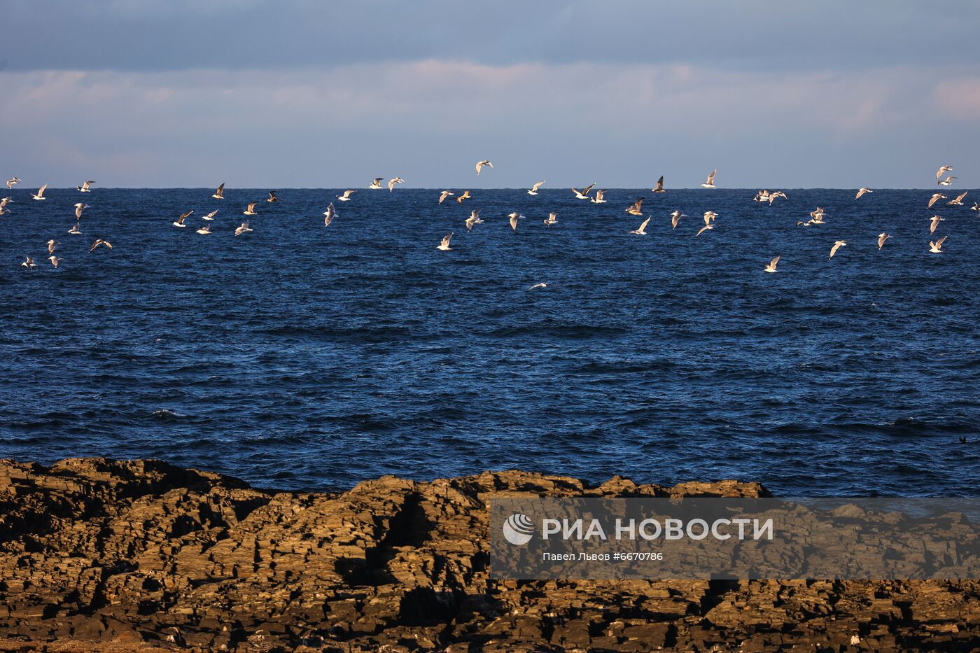 Полуострова Средний и Рыбачий в Мурманской области