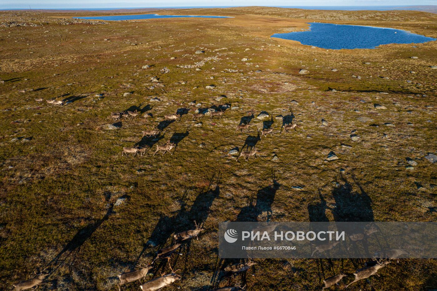 Полуострова Средний и Рыбачий в Мурманской области