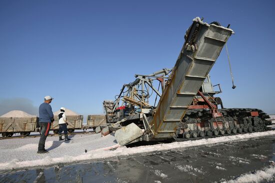 Добыча розовой соли на озере Сасык-Сиваш в Крыму