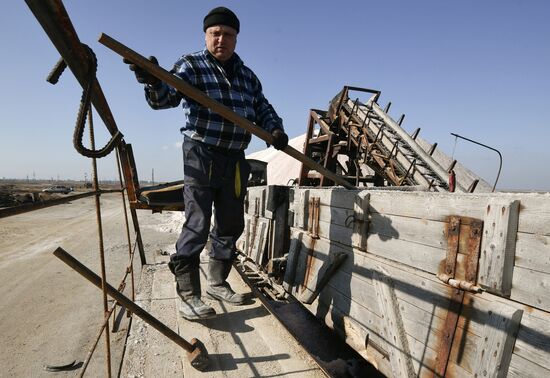 Добыча розовой соли на озере Сасык-Сиваш в Крыму