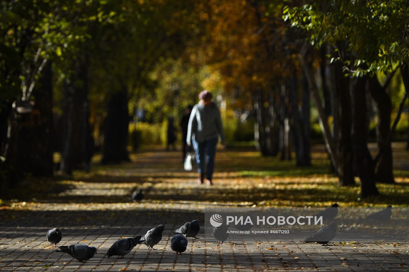 Осень в Новосибирске