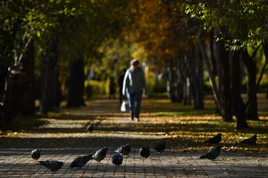 Осень в Новосибирске