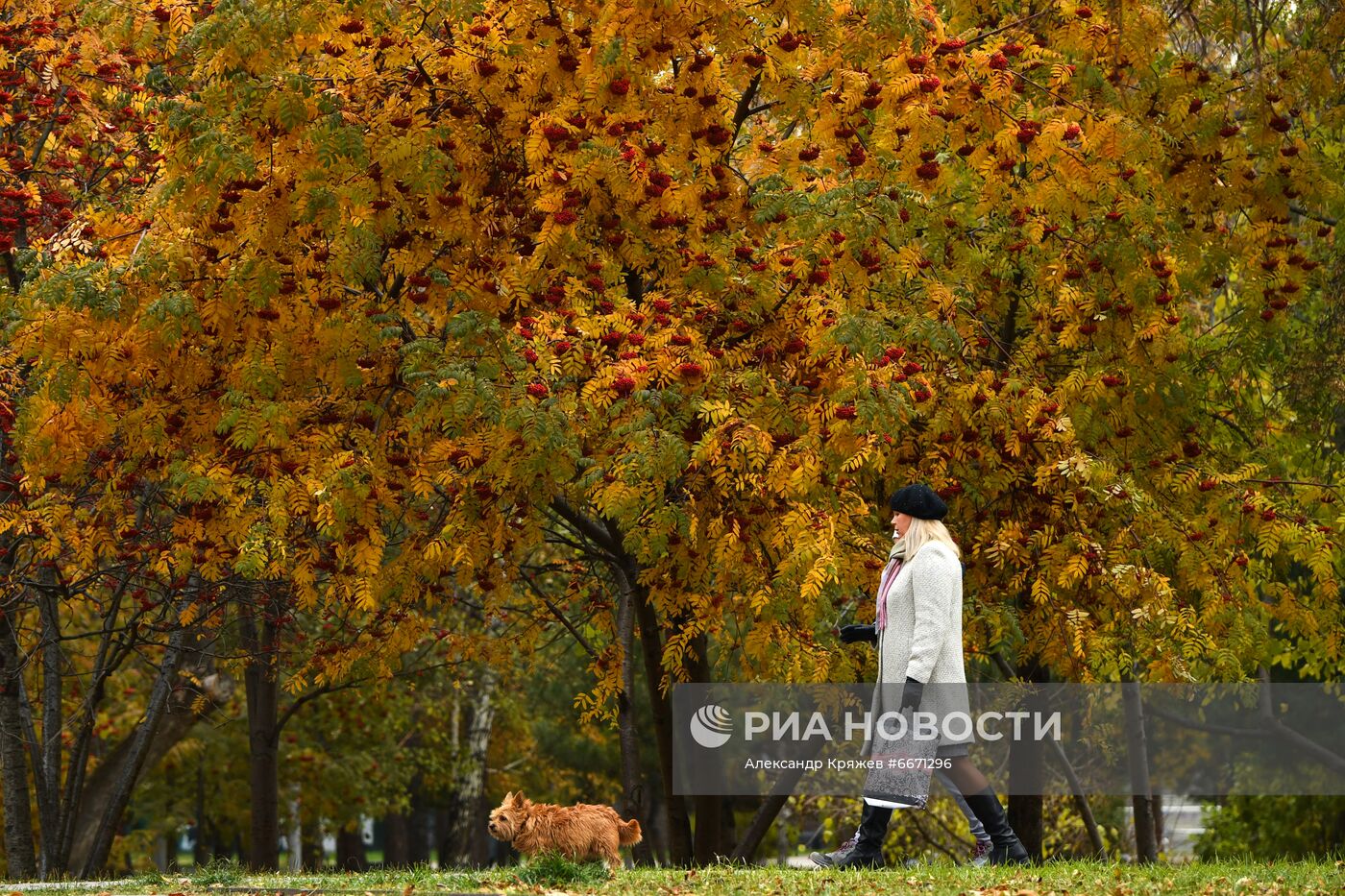 Осень в Новосибирске