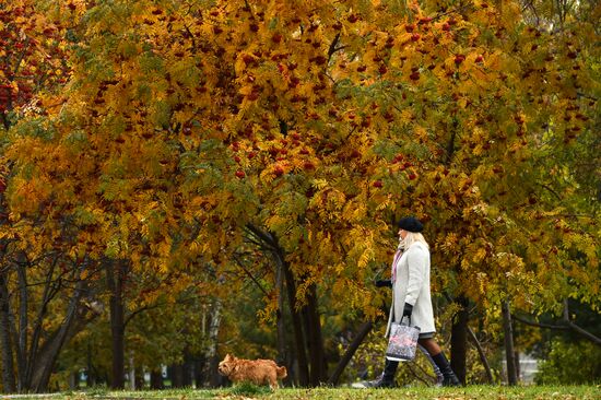 Осень в Новосибирске