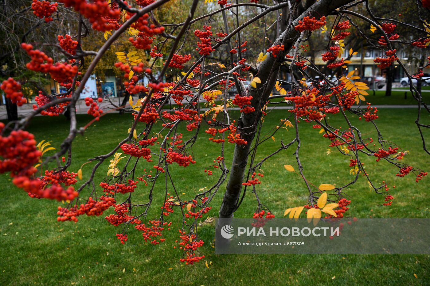 Осень в Новосибирске