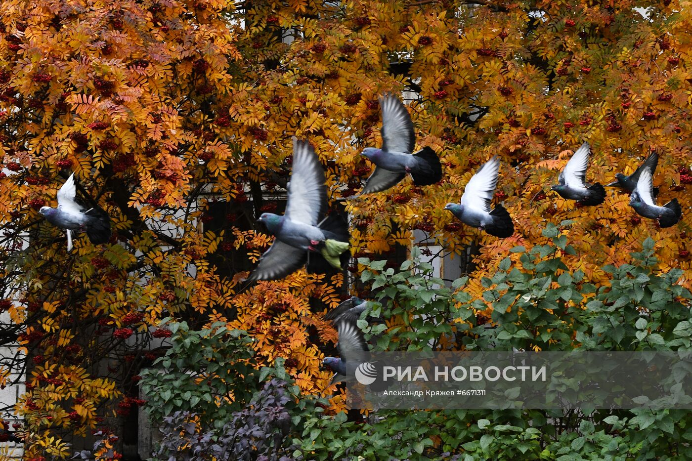 Осень в Новосибирске