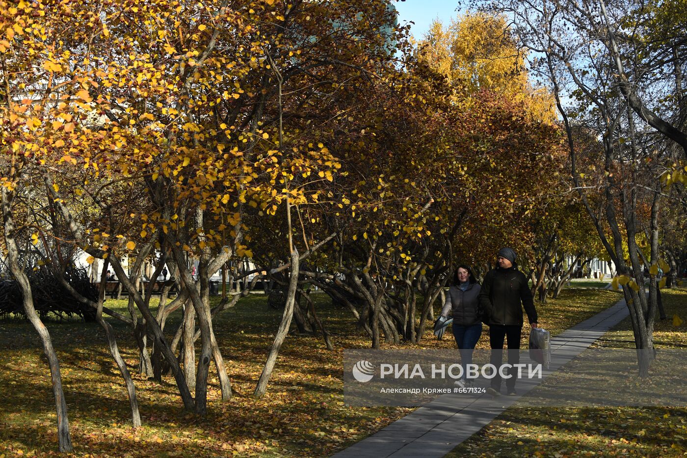 Осень в Новосибирске