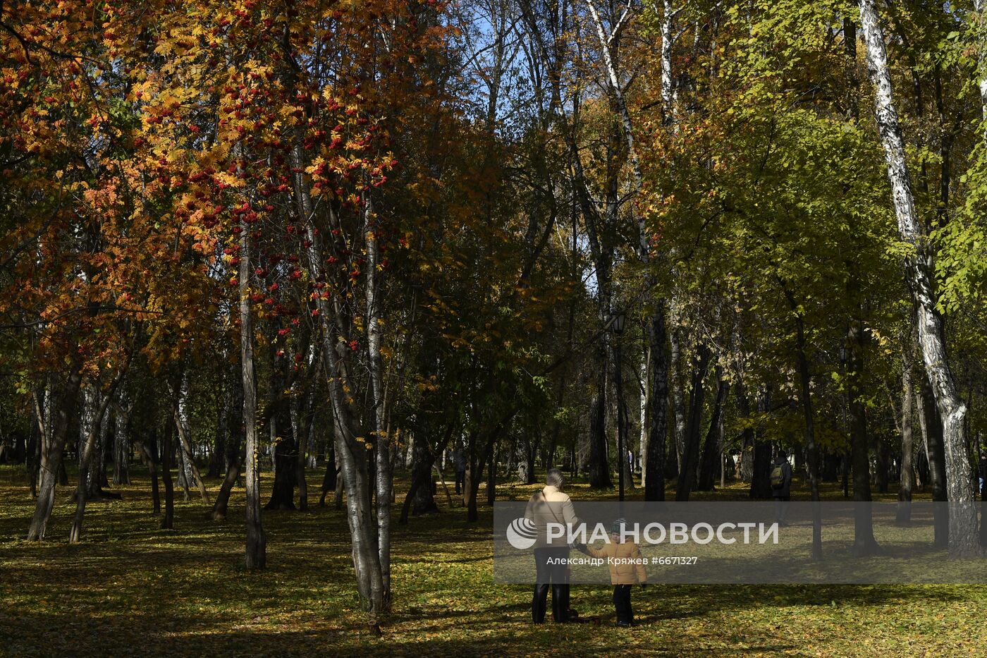 Осень в Новосибирске