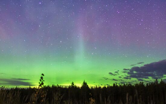 Северное сияние в Ленинградской области