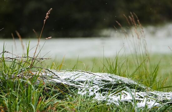 Снег на траве