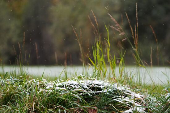 Снег на траве