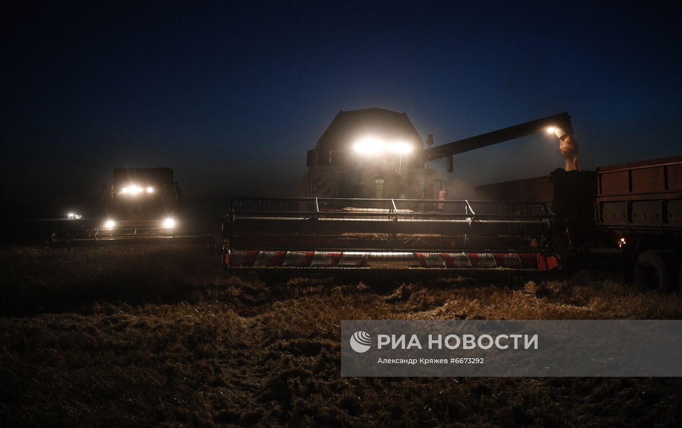 Сбор урожая в Новосибирской области