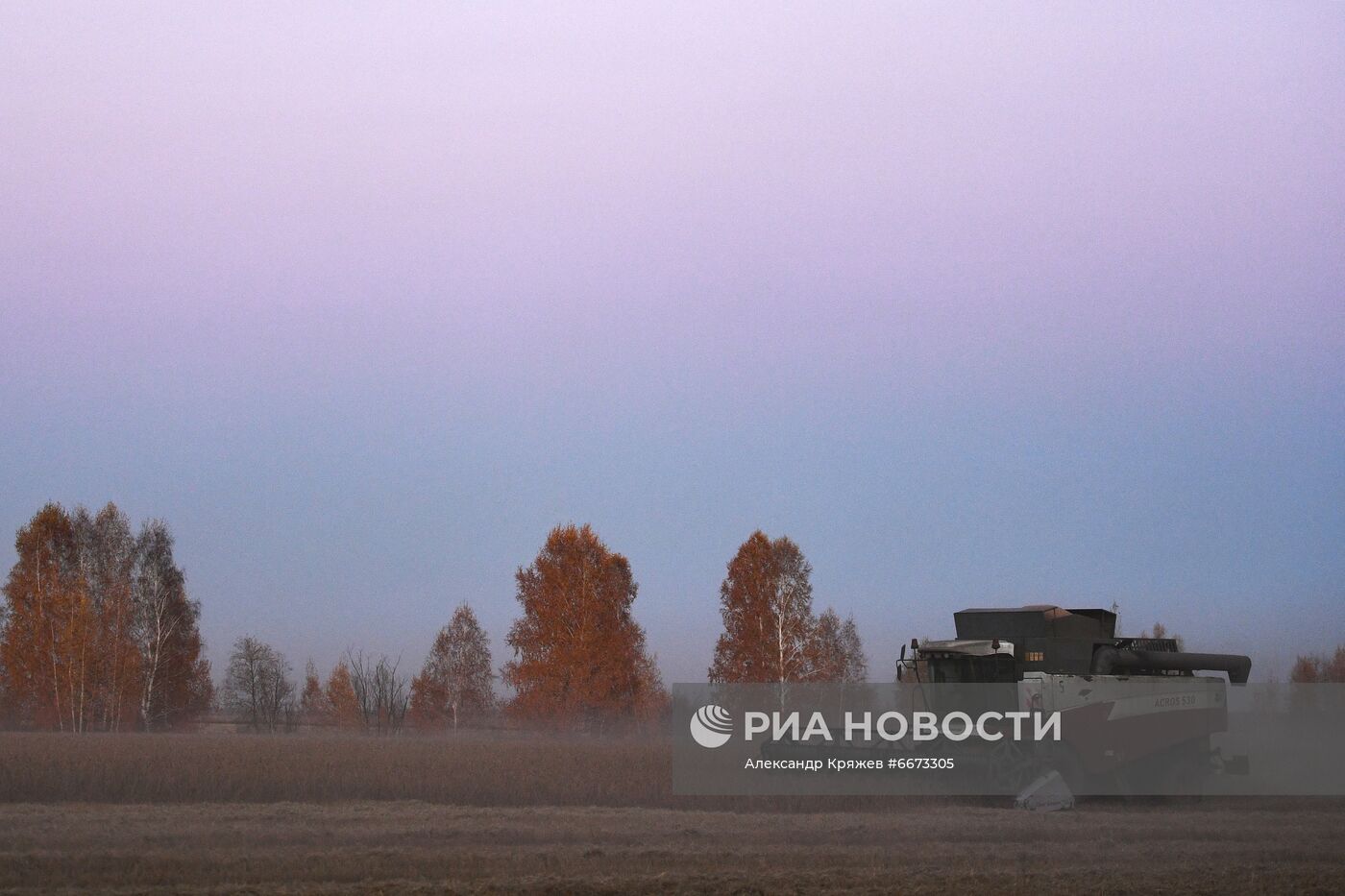 Сбор урожая в Новосибирской области