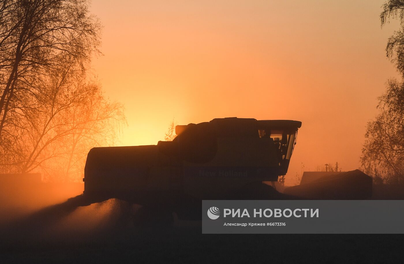 Сбор урожая в Новосибирской области