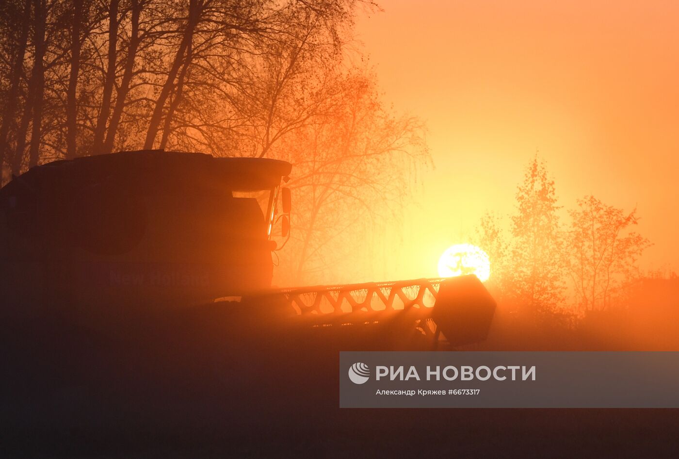 Сбор урожая в Новосибирской области