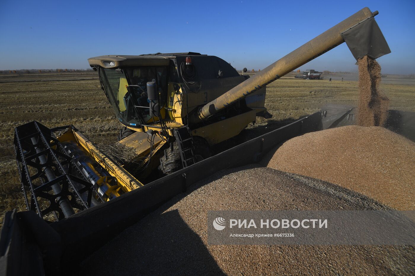 Сбор урожая в Новосибирской области