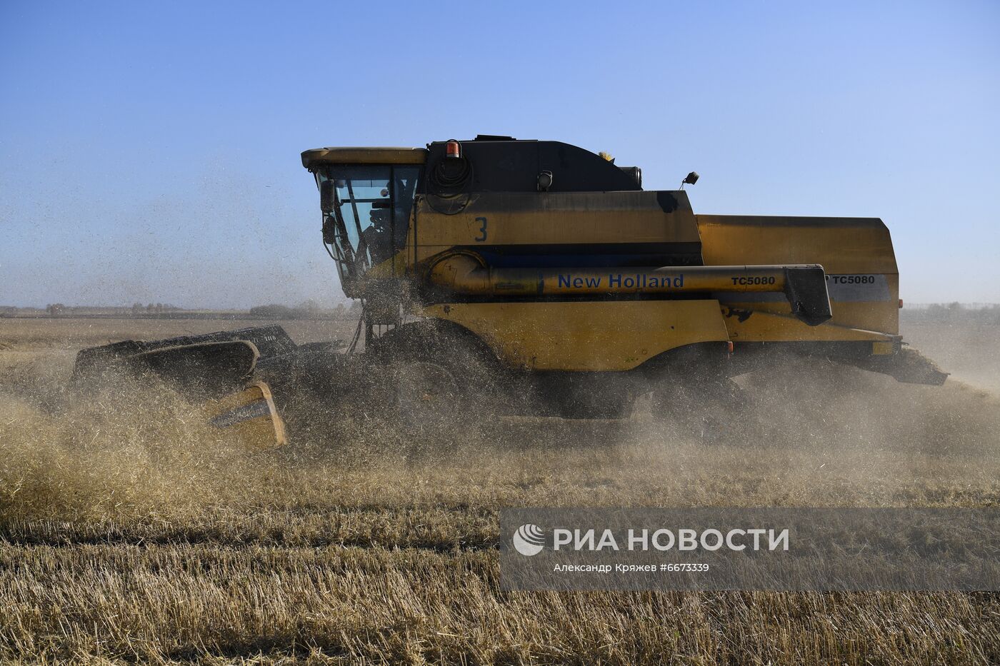 Сбор урожая в Новосибирской области