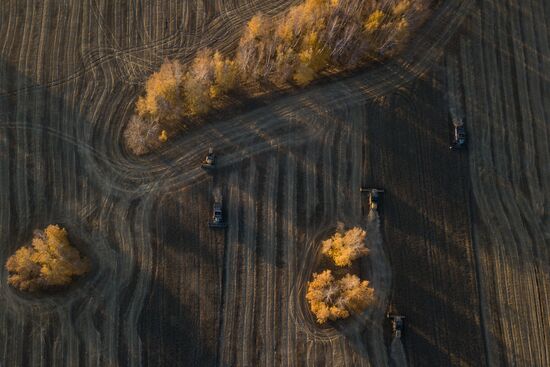 Сбор урожая в Новосибирской области