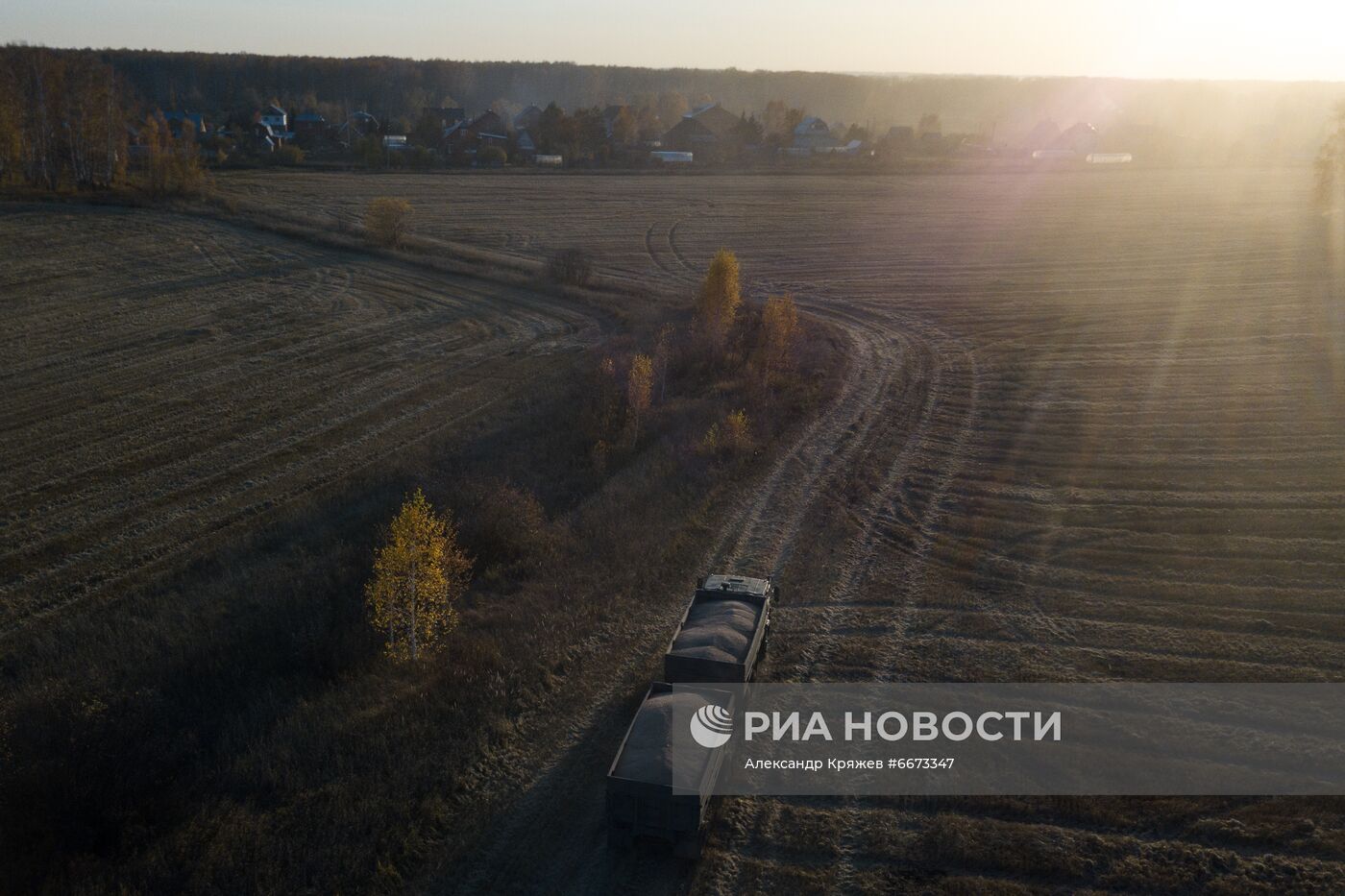 Сбор урожая в Новосибирской области