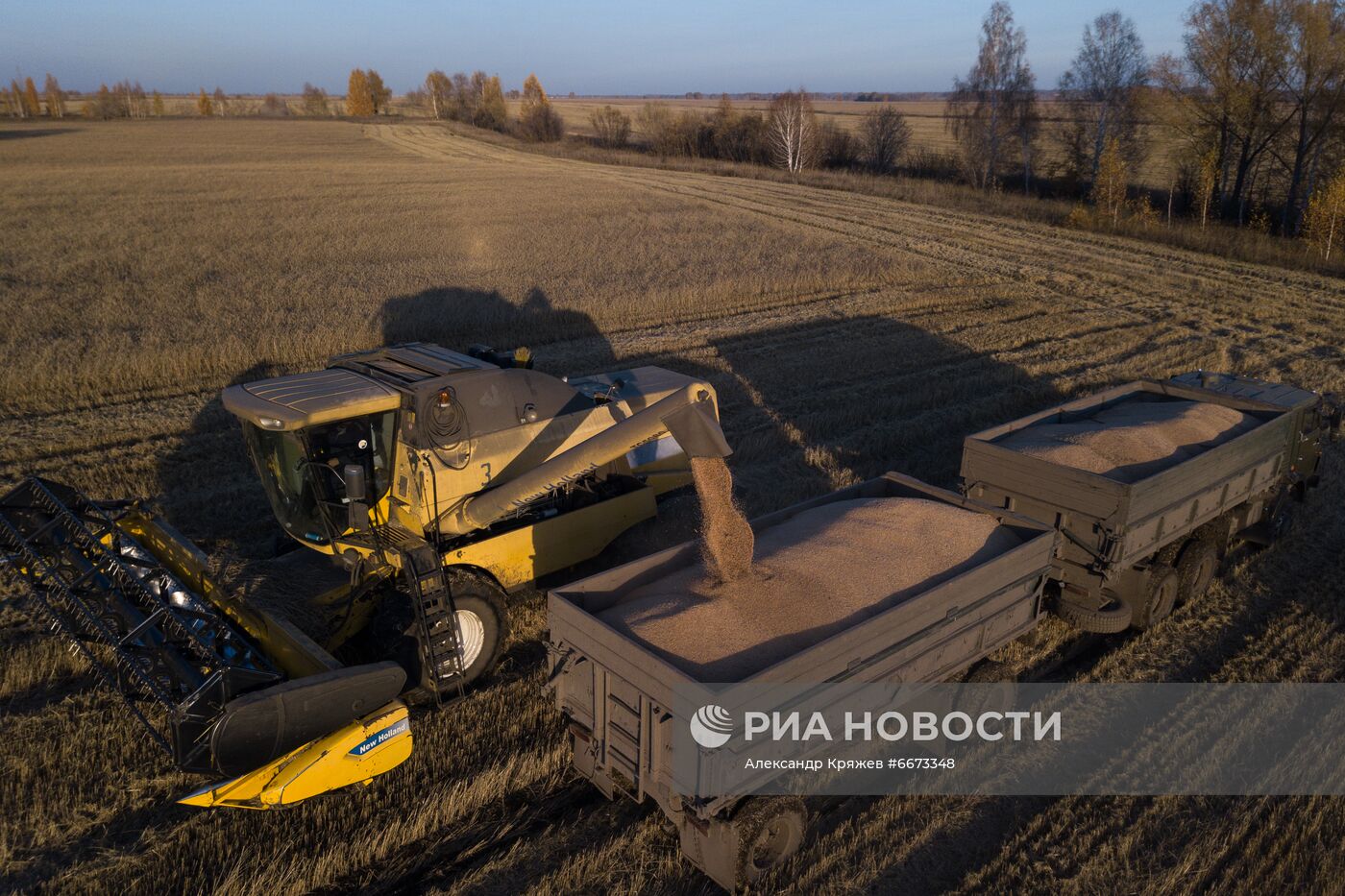 Сбор урожая в Новосибирской области