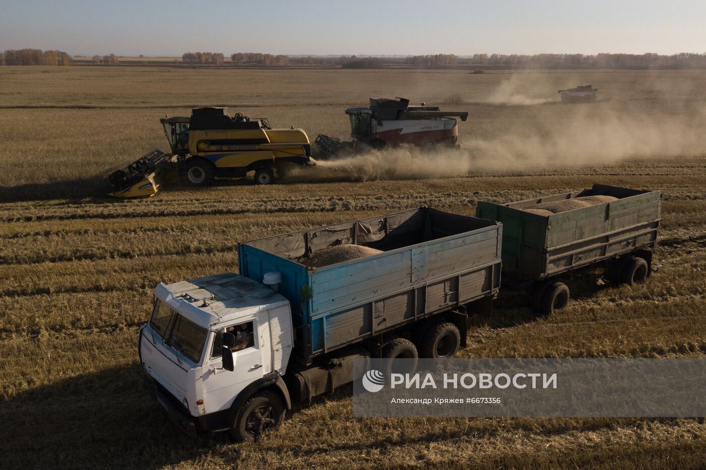 Сбор урожая в Новосибирской области