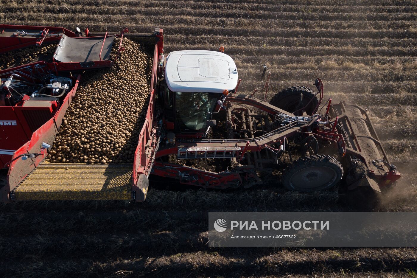 Сбор урожая в Новосибирской области