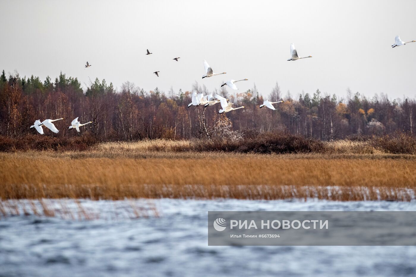 Осень в Национальном парке "Водлозерский"