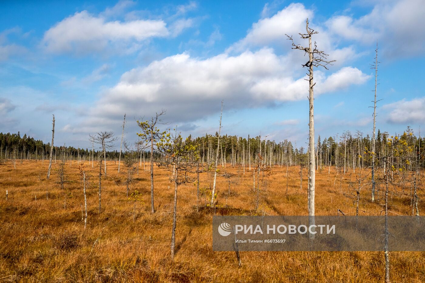 Осень в Национальном парке "Водлозерский"