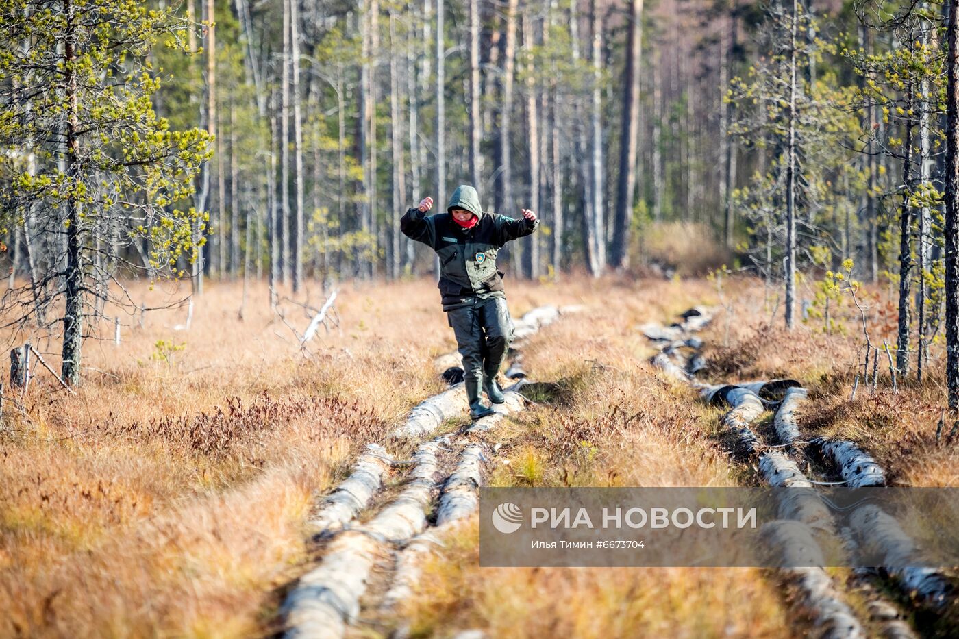 Осень в Национальном парке "Водлозерский"