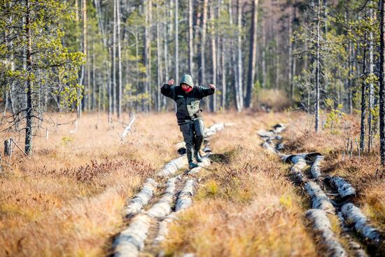 Осень в Национальном парке "Водлозерский"