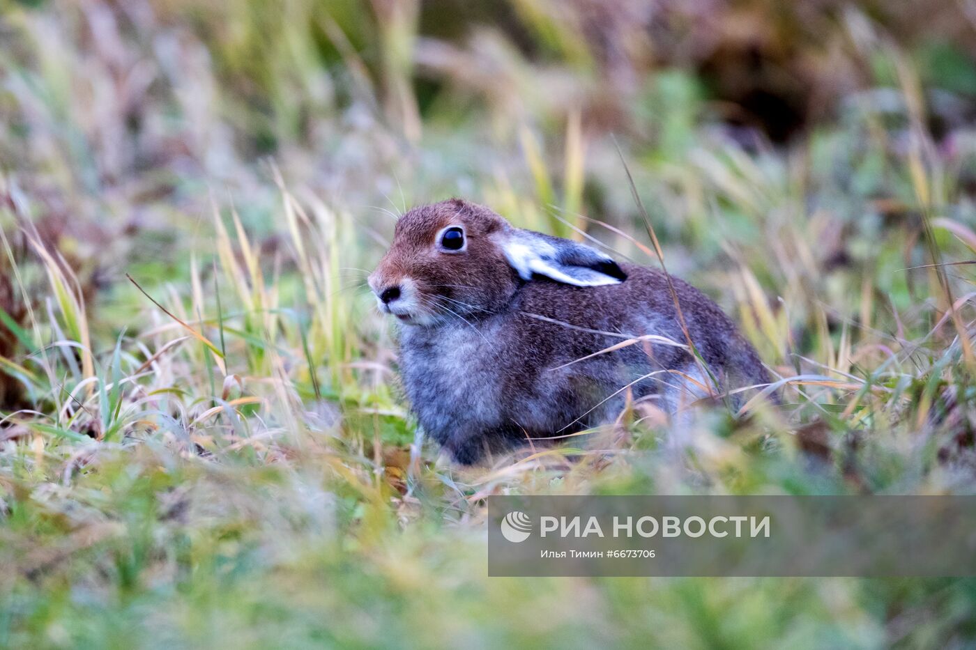 Осень в Национальном парке "Водлозерский"