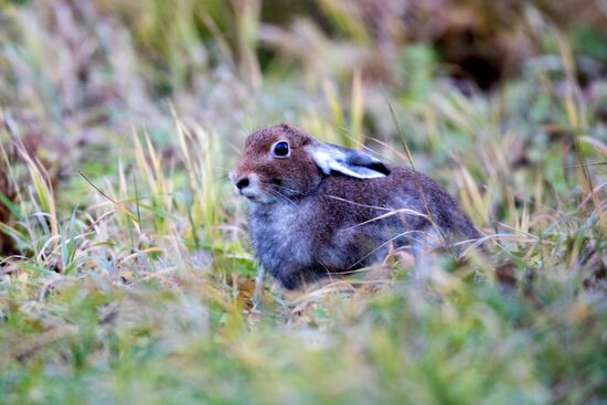 Осень в Национальном парке "Водлозерский"