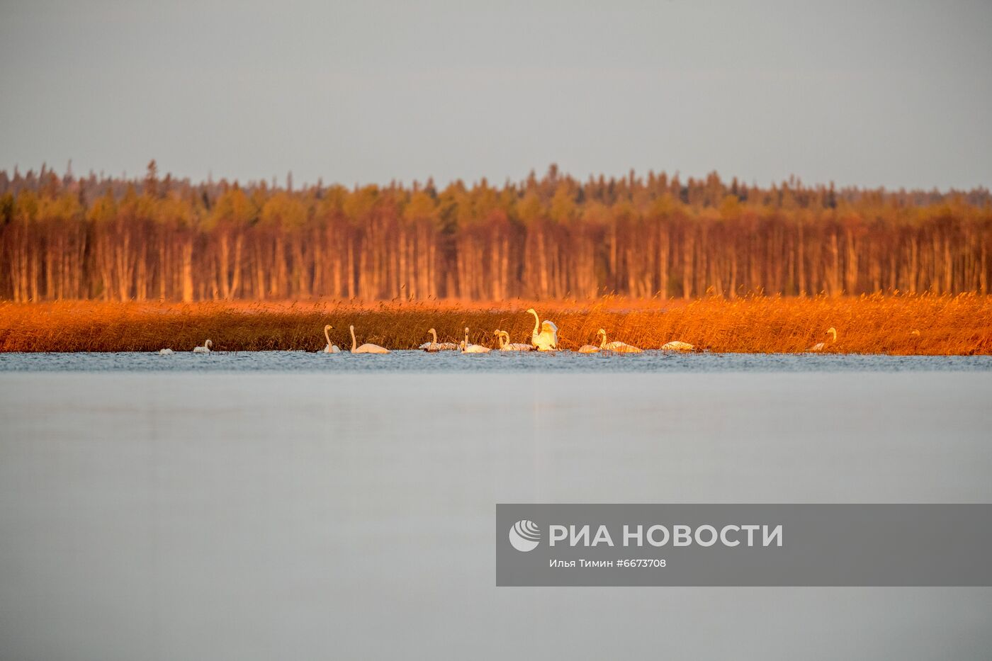 Осень в Национальном парке "Водлозерский"