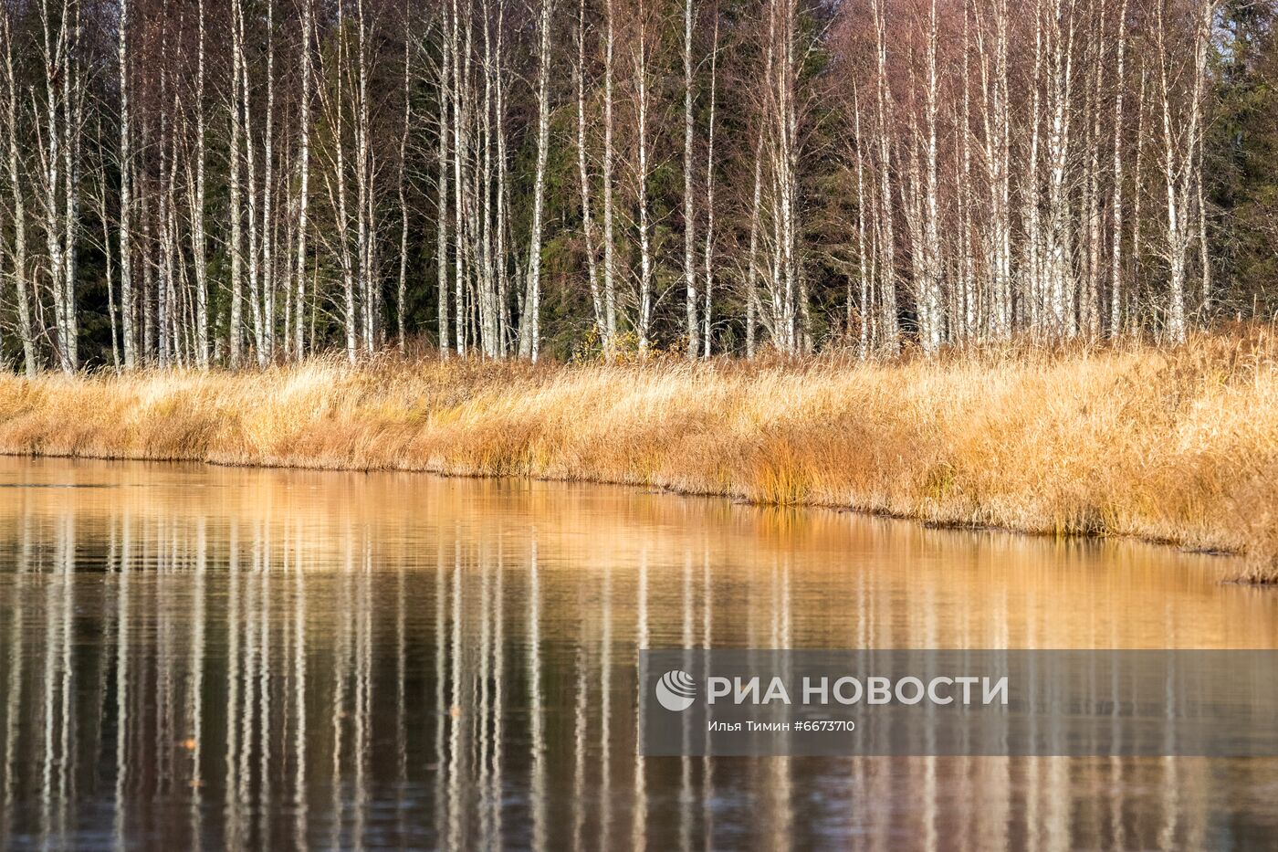 Осень в Национальном парке "Водлозерский"