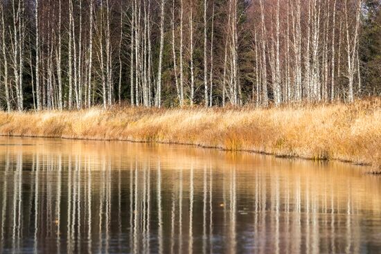 Осень в Национальном парке "Водлозерский"
