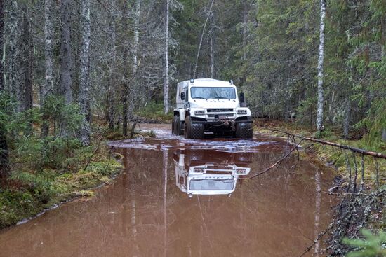 Осень в Национальном парке "Водлозерский"