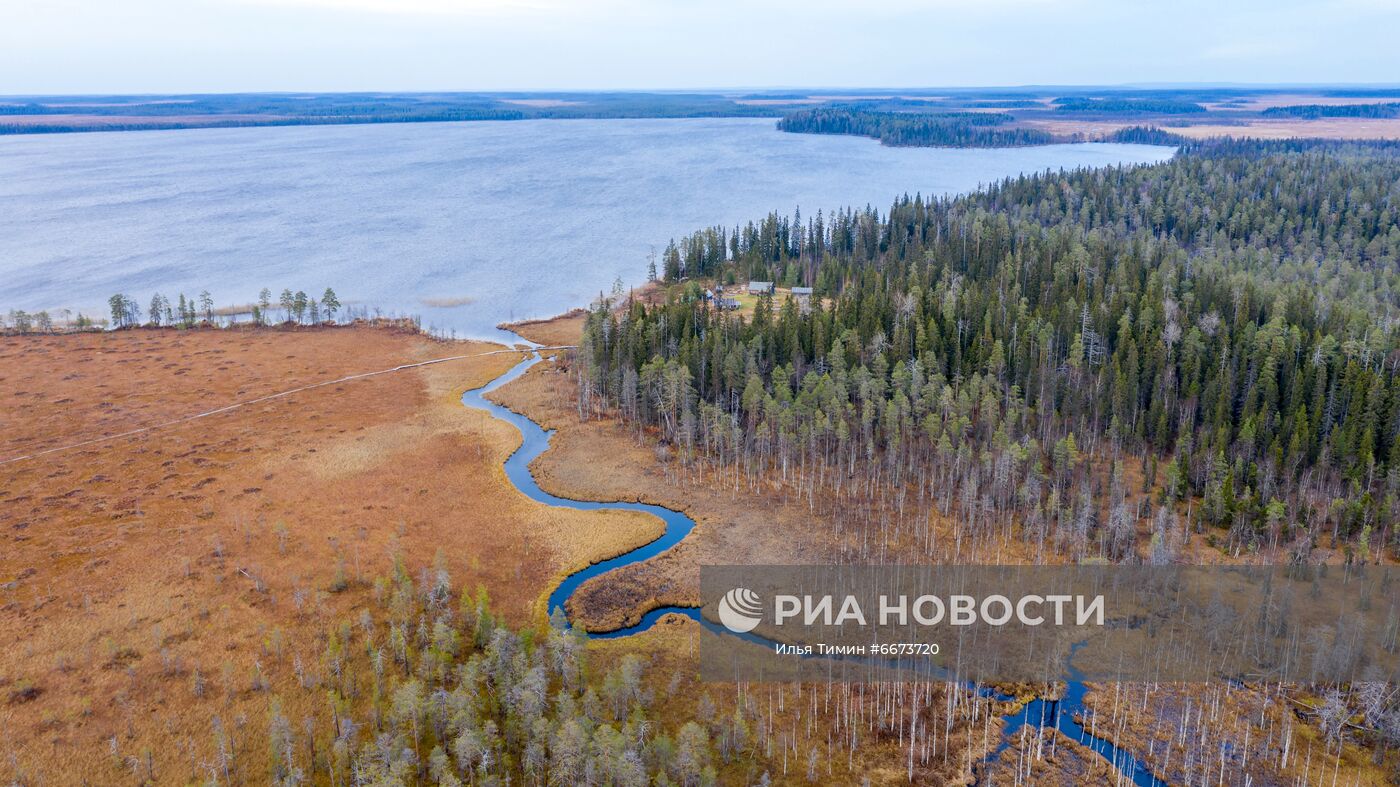 Осень в Национальном парке "Водлозерский"