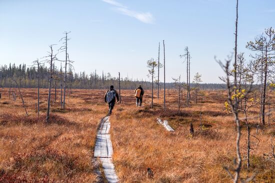 Осень в Национальном парке "Водлозерский"