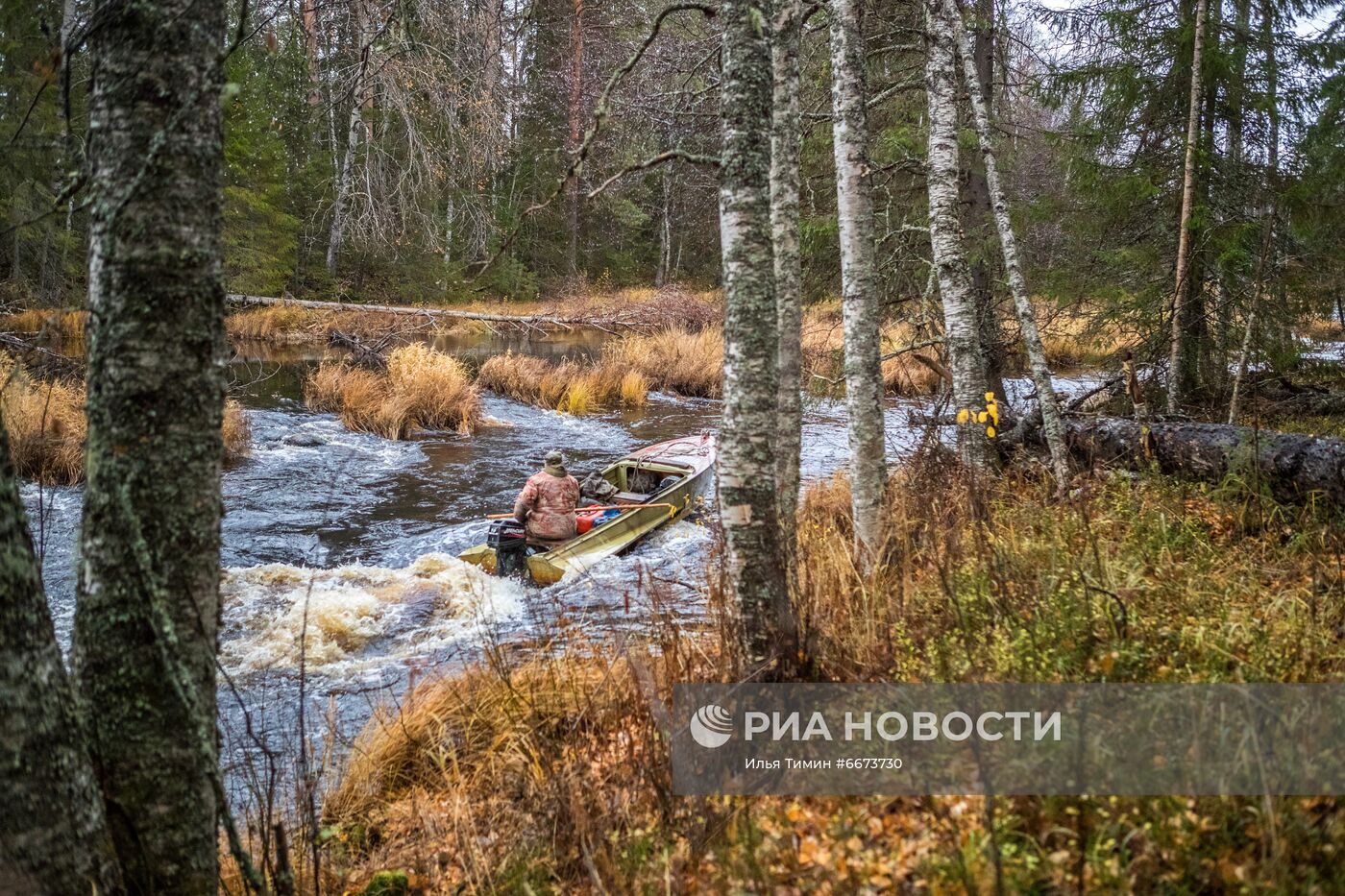 Осень в Национальном парке "Водлозерский"