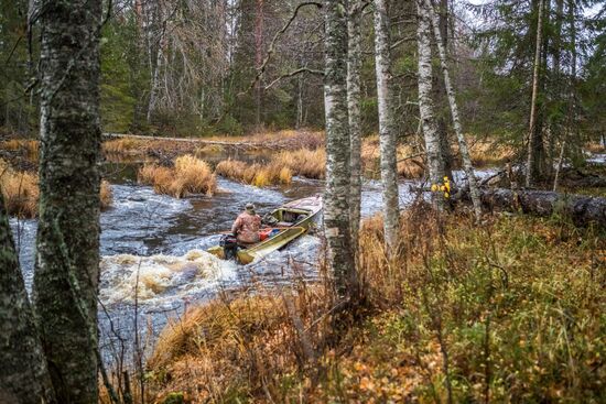 Осень в Национальном парке "Водлозерский"