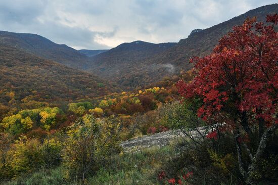 Осень в Крыму