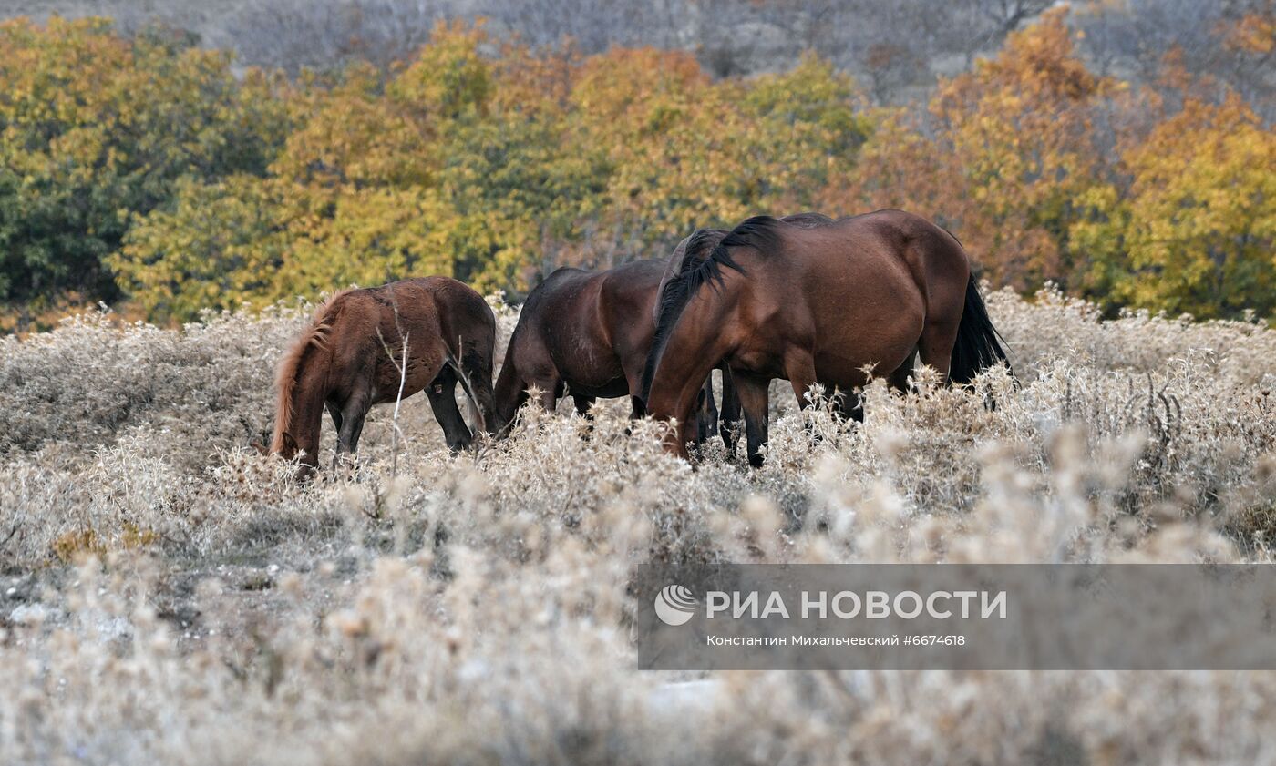 Осень в Крыму