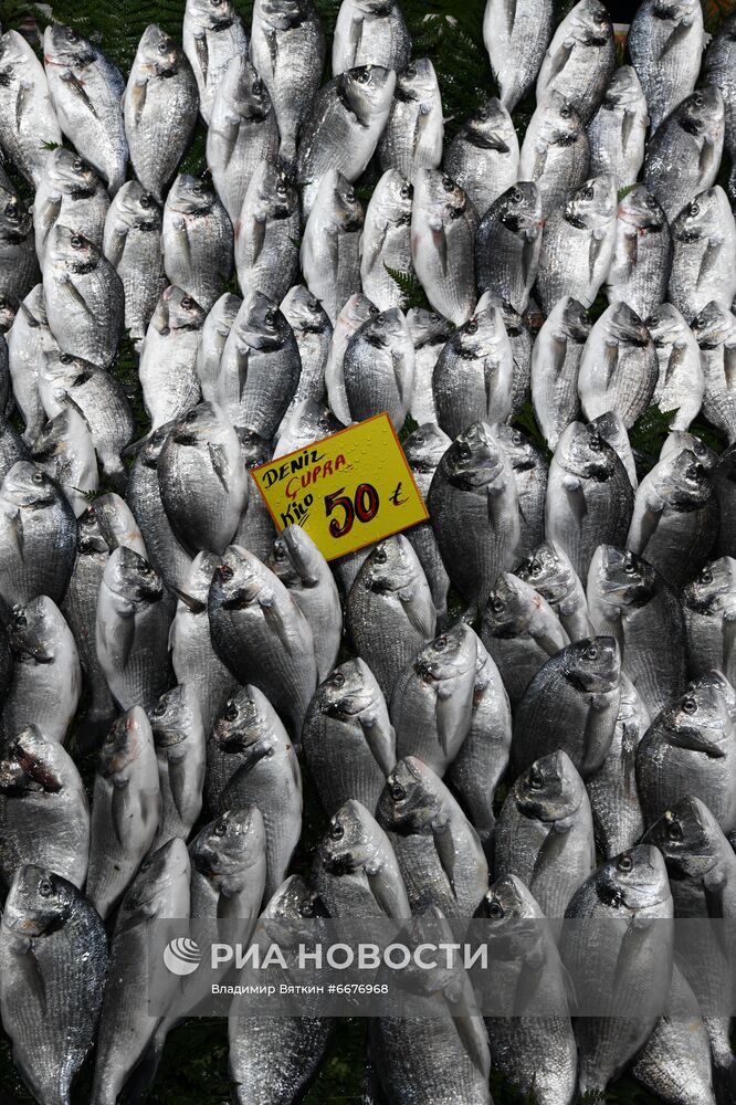 Города мира. Стамбул