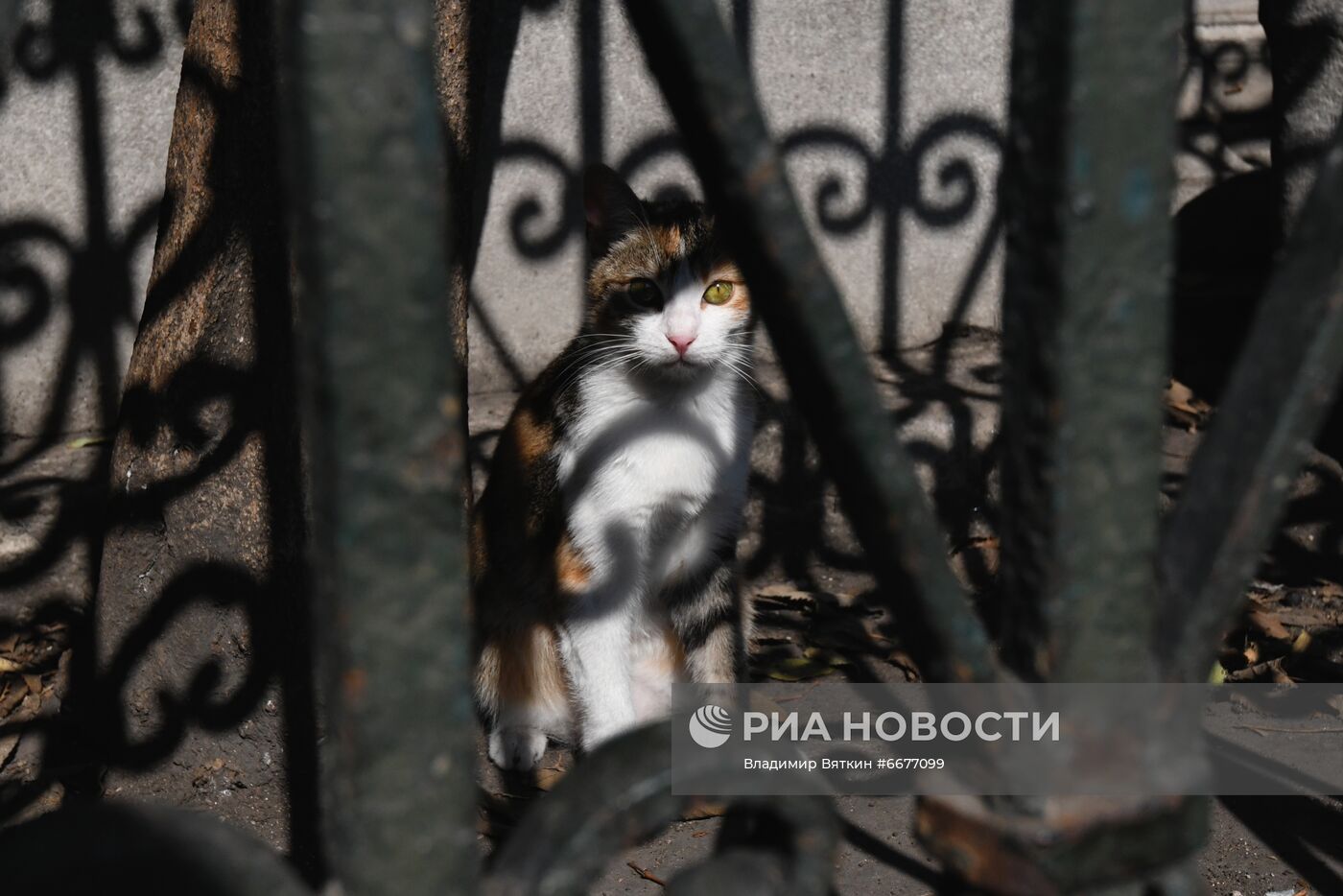 Города мира. Стамбул