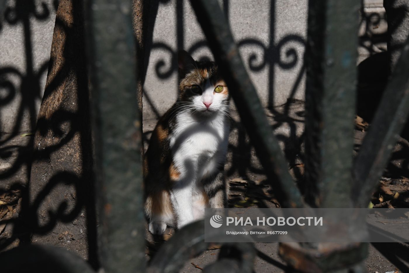 Города мира. Стамбул