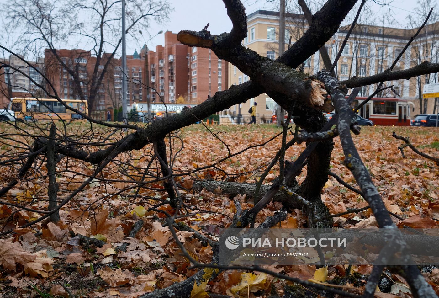 Последствия ночного урагана в Санкт-Петербурге